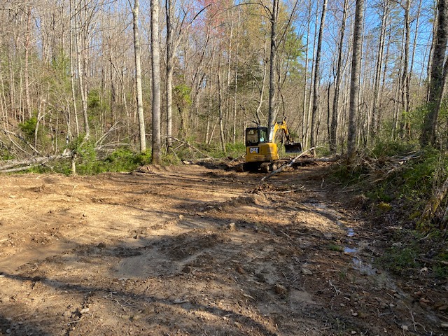 Tree Removal in Alcoa, Tennessee