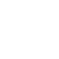 Emergency Tree Service