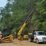 Tree Maintenance in Gatlinburg, Tennessee