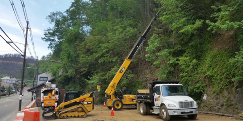 Tree Maintenance in Alcoa, Tennessee
