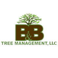 B&B Tree Management