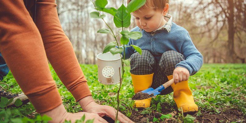 Want Happy Trees? Consider Professional Tree Services!