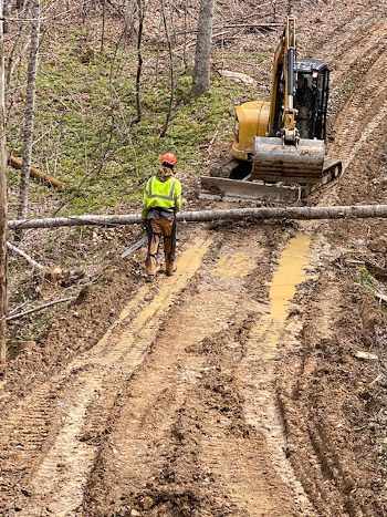 Land Clearing in Seymour, Tennessee