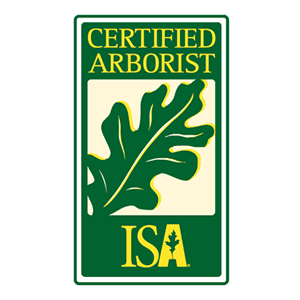 ISA