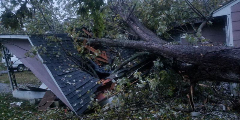 Emergency Tree Service Claim in Sevierville, Tennessee