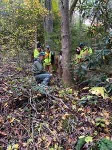 Tree Care Company in Sevierville, Tennessee