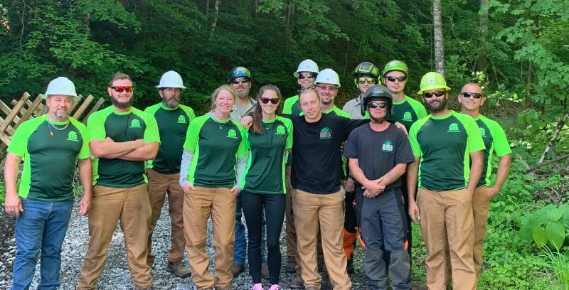 Tree Cleanup in Gatlinburg, Tennessee