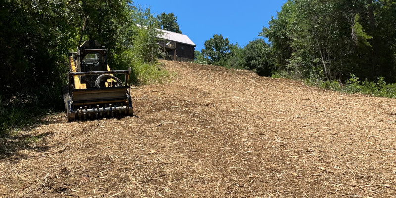 Forestry Mulching in Sevierville, Tennessee