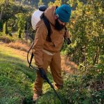 Plant Health Services