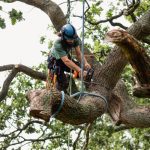After-Hours Tree Service