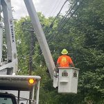 Tree Trimming