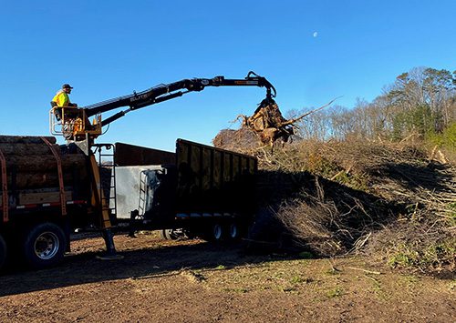 Bush Removal in Sevierville, Tennessee