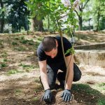 Tree Planting