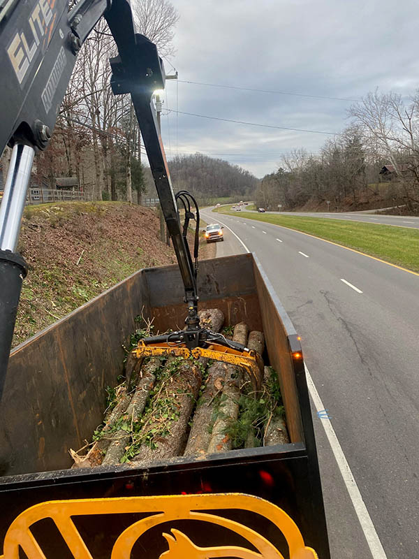 Tree Cleanup in Sevierville, Tennessee