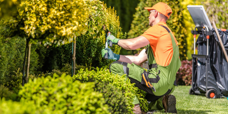 Show Your Landscape Some Love with Professional Plant Health Services