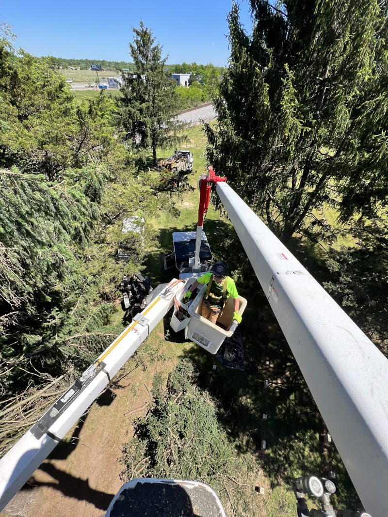 Federal Contracting