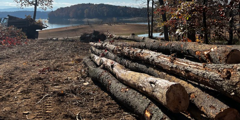 Property Clearing in Sevierville, Tennessee