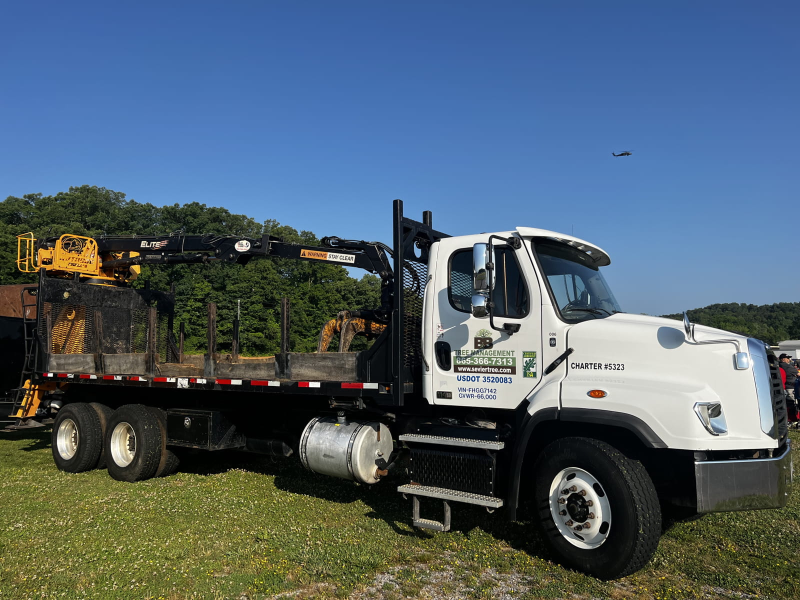  tree trimming