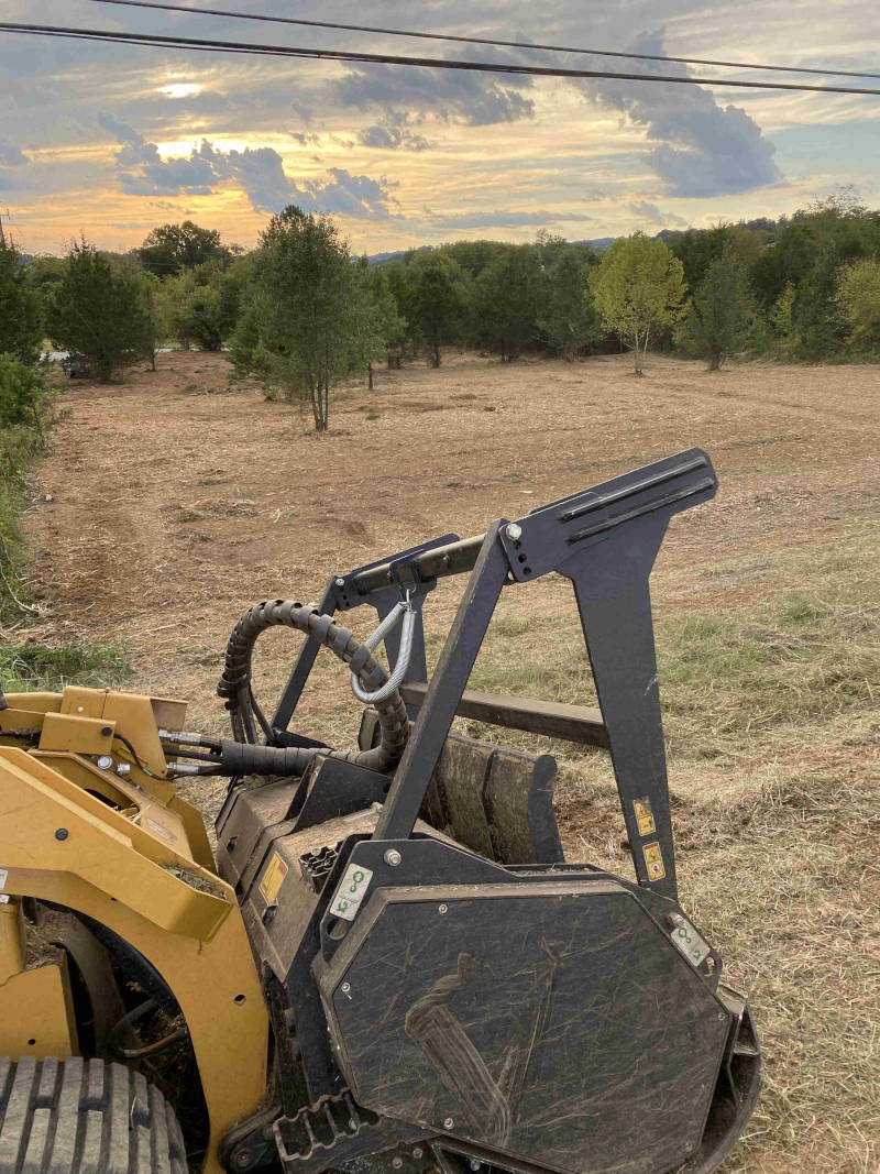 Tree Services, Knoxville, TN B&B Tree Management