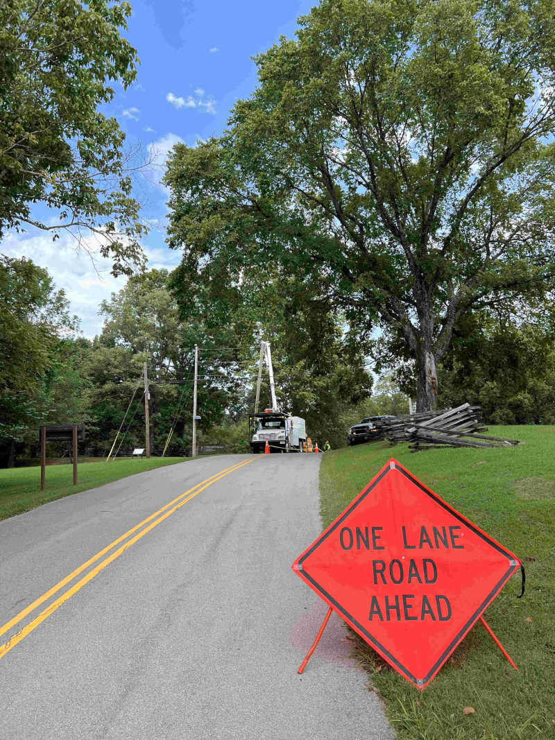 Tree Services, Knoxville, TN B&B Tree Management