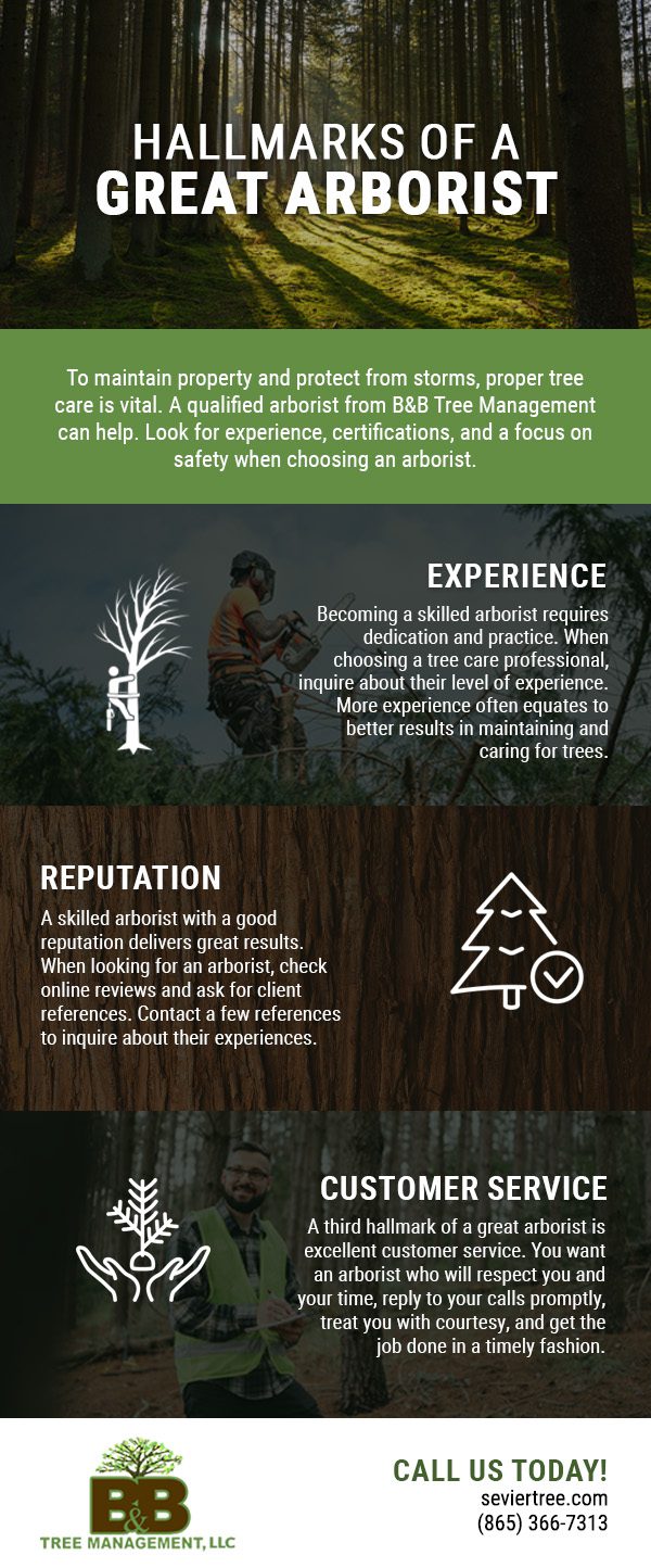 Hallmarks of a Great Arborist