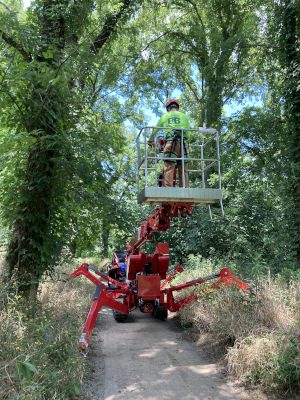 Right Of Way Maintenance in Sevierville, Tennessee