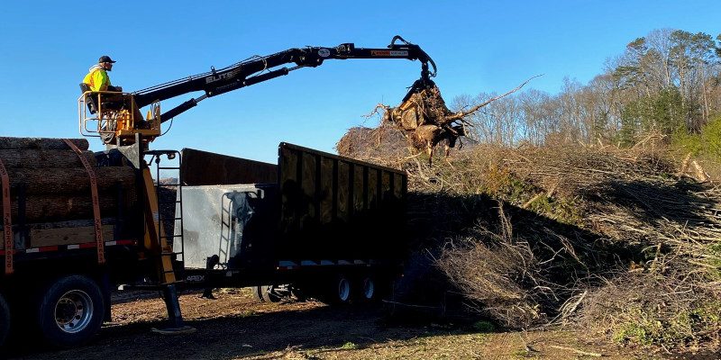 Brush Clearing in Sevierville, Tennessee