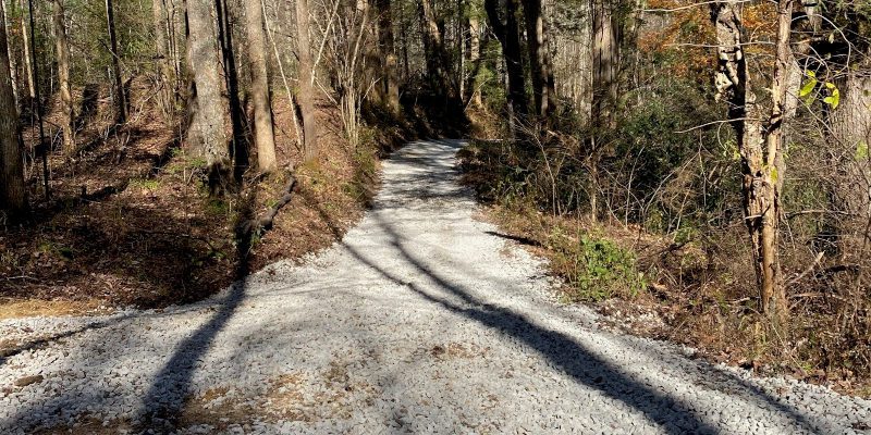 Roadway Brush Clearing in Sevierville, Tennessee