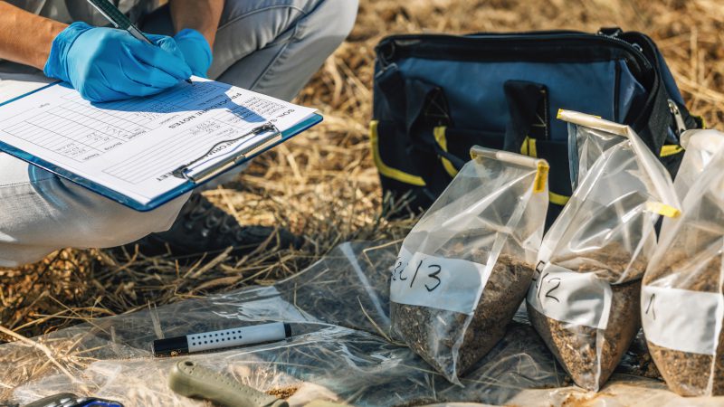 What Plant Health Services Do We Provide?