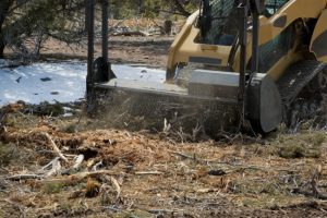 What Is Forestry Mulching?