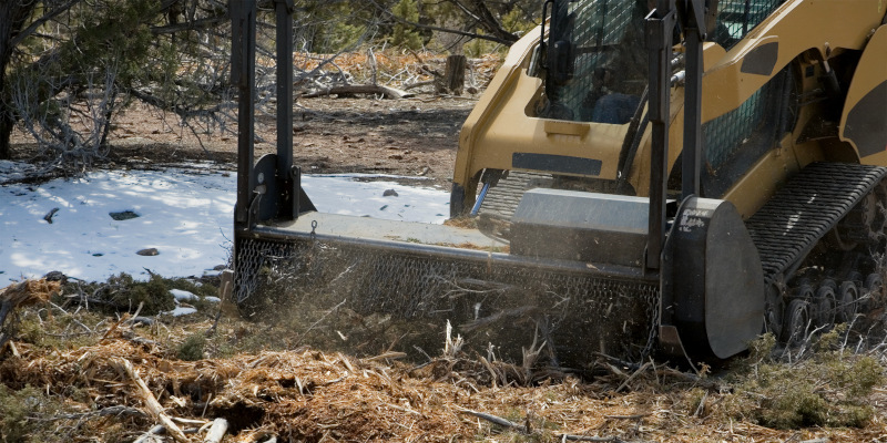 What Is Forestry Mulching?