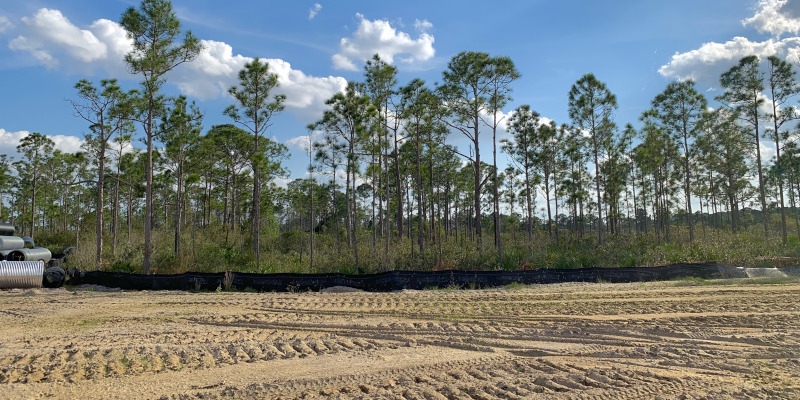Why Land Clearing Is the Key to Starting Your Next Project Right