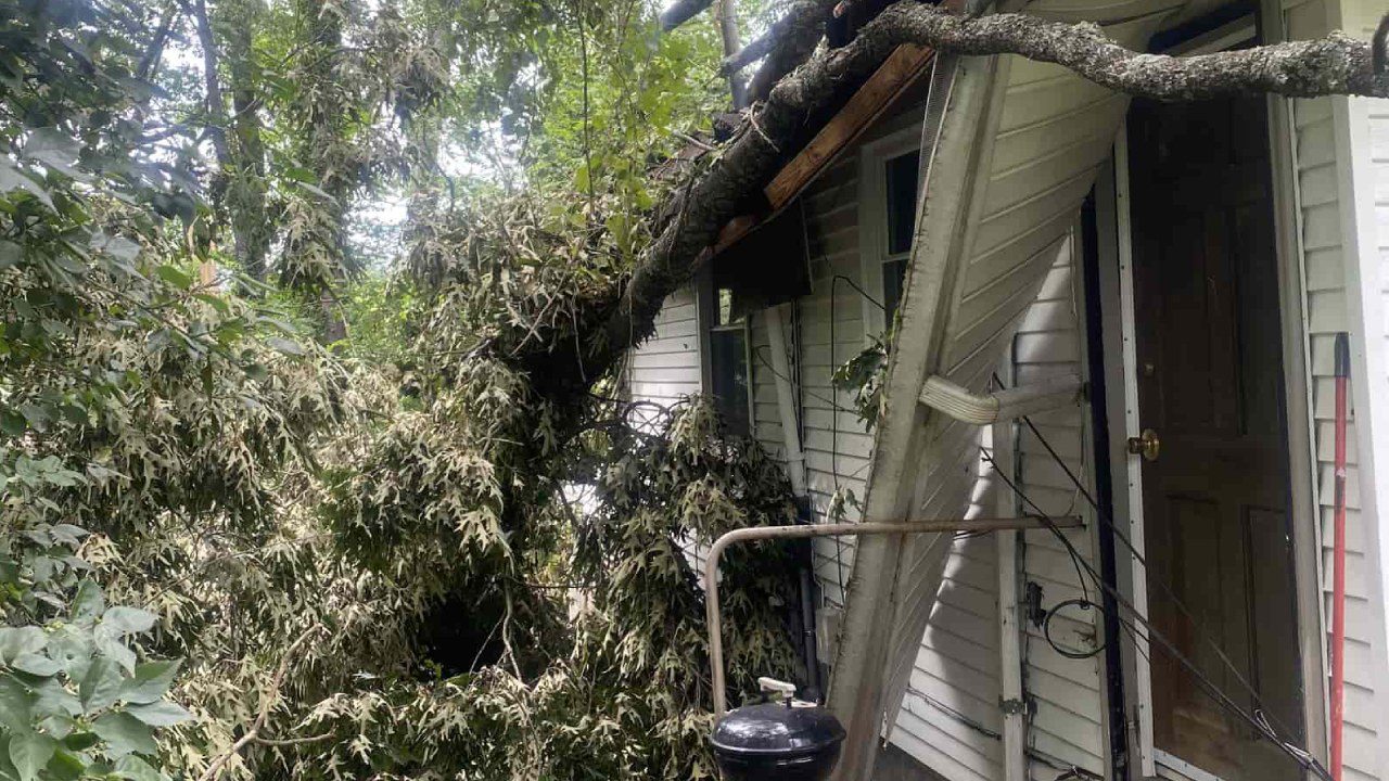 Emergency Tree Service