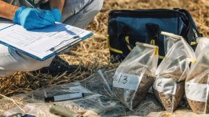 How Can Our Plant Health Services Help?